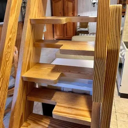 Fasane Appartement Nebel