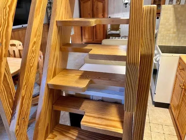 Fasane Appartement Nebel