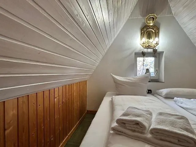 Fasane Appartement Nebel